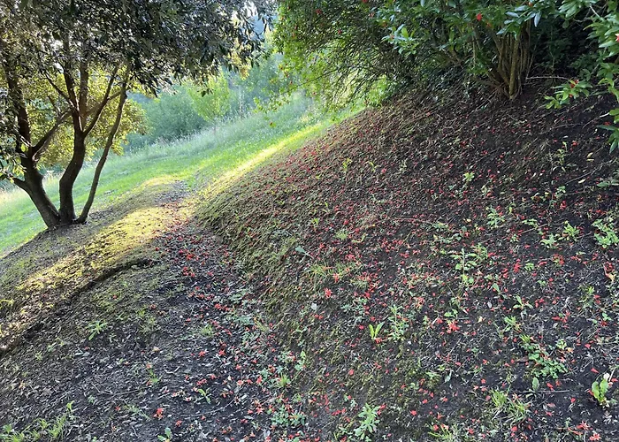 La Melagrana Brisighella