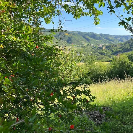 Bed & Breakfast La Melagrana 3*