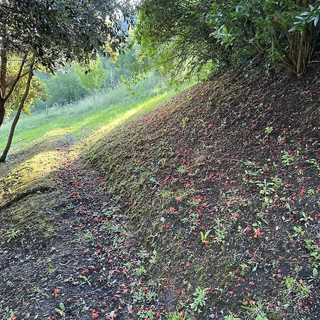 La Melagrana Brisighella