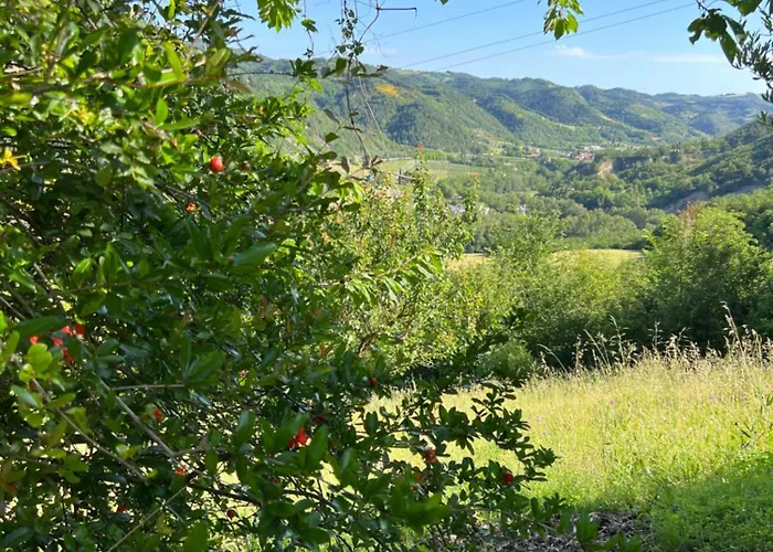 Bed & Breakfast La Melagrana 3*